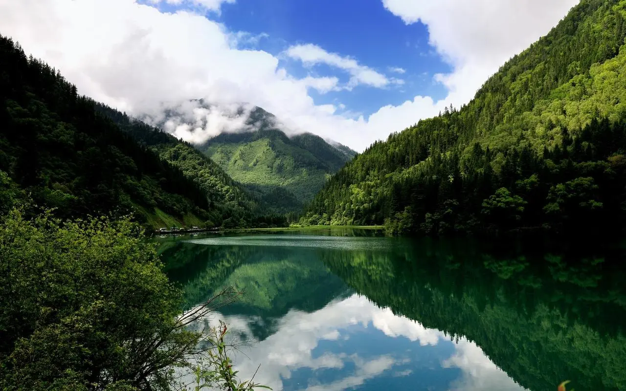 高效高性能精密
